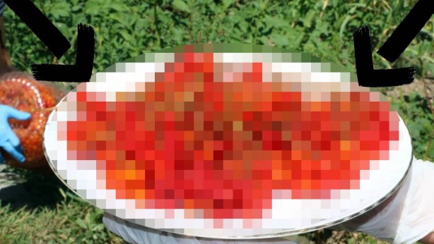 O hastalıklar için bire bir, üstelik bedava! Adını duyan, koşa koşa gidiyor! Adeta fışkırıyor