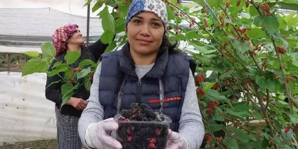 Foto - O iki ülke, "Bize de verin" diyerek Türkiye’nin kapısını çaldı! Sadece orada var! Resmen birbirlerini yiyecekler