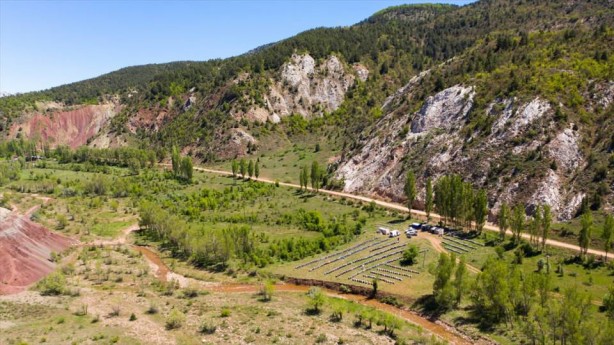 Foto - O ilçe arıcıların favorisi