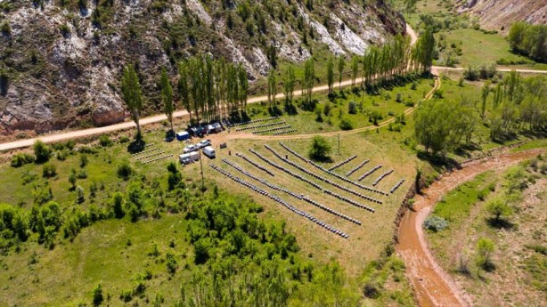 Foto - O ilçe arıcıların favorisi