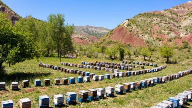 O ilçe arıcıların favorisi