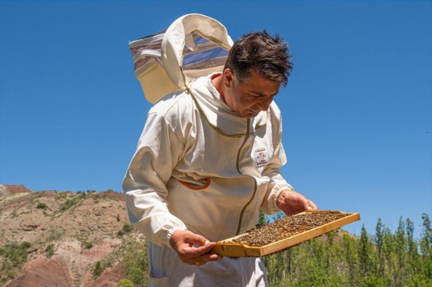 Foto - O ilçe arıcıların favorisi