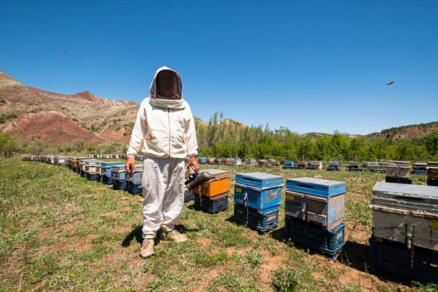 Foto - O ilçe arıcıların favorisi