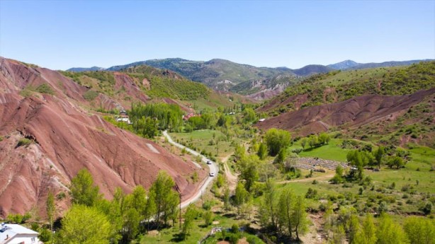 Foto - O ilçe arıcıların favorisi