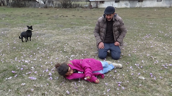 Foto - O ilde çiçekler mevsimleri karıştırdı