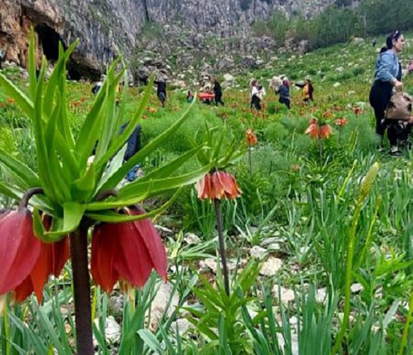 Foto - O ilde dağlar böyle renklendi