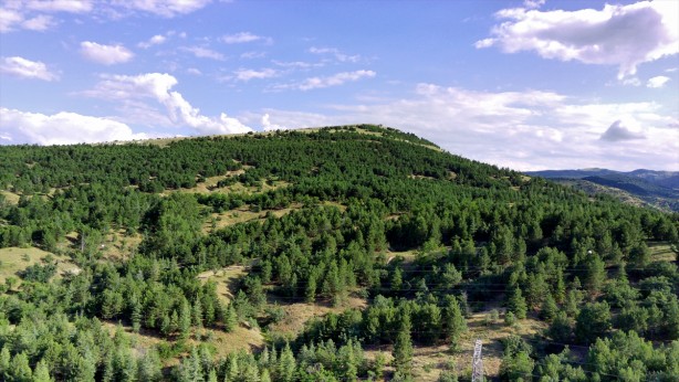 O ilde de ormanlara girişler yasaklandı