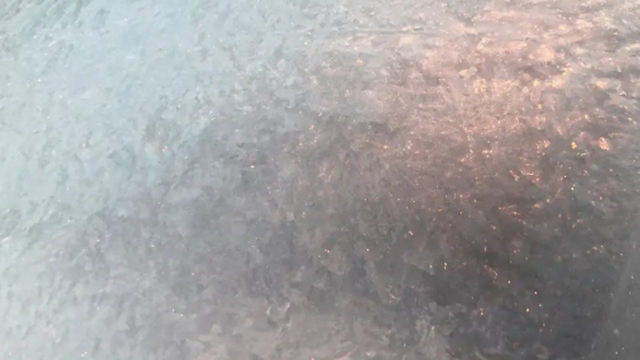 Foto - O ilde sabah sürprizi: Aracının başına gidenler şok oldu!