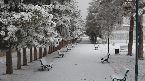 O ilimiz beyaza büründü! Herkes kar sandı ama gerçek bambaşka çıktı