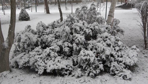 Foto - O ilimiz beyaza büründü! Herkes kar sandı ama gerçek bambaşka çıktı