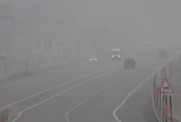 Foto - O ilimiz beyaza büründü! Herkes kar sandı ama gerçek bambaşka çıktı