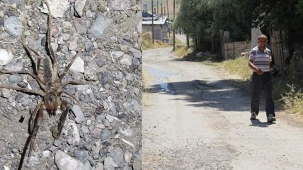 Foto - O ilimiz diken üstünde... Sarıkız kabusu geri döndü