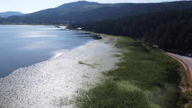 Foto - O ilimiz kavruldu! 94 yılın en sıcak gününü yaşadılar
