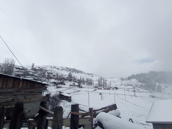 Foto - O ilimiz mayıs ayında beyaza büründü