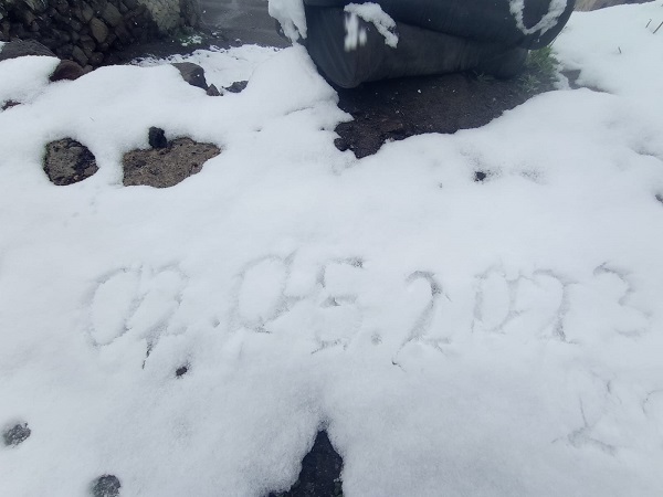 Foto - O ilimiz mayıs ayında beyaza büründü