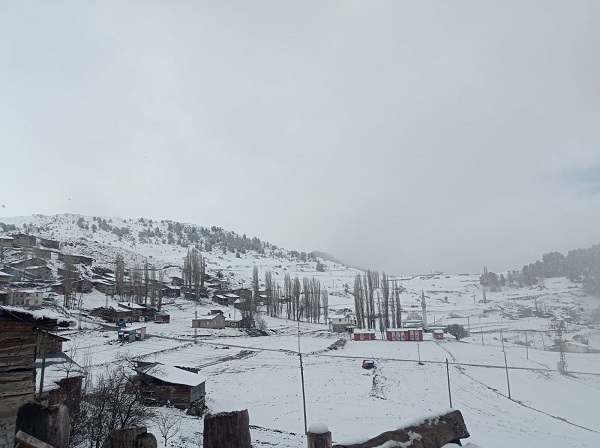 Foto - O ilimiz mayıs ayında beyaza büründü
