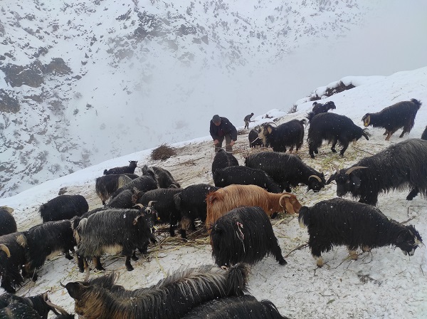 Foto - O ilimizde 35 köy yolu kapandı
