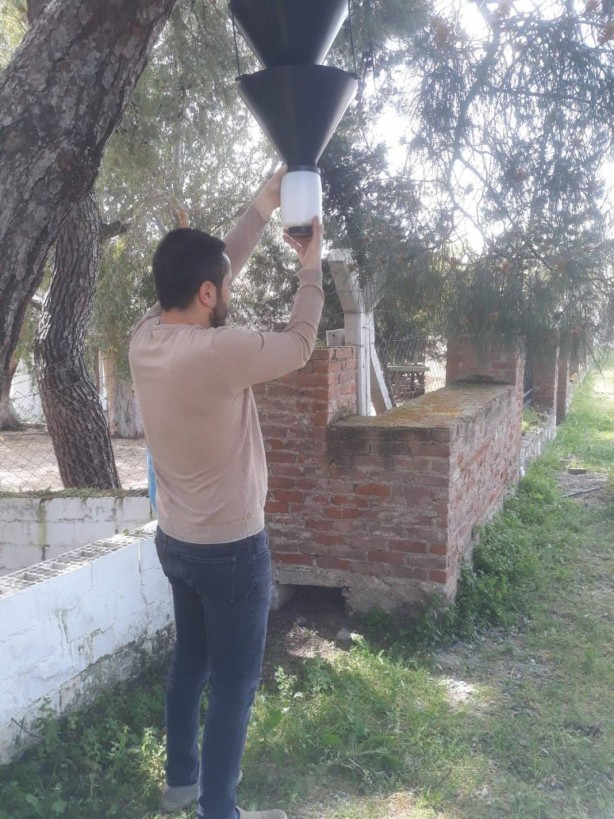 Foto - O ilimizde ağaçlara yerleştirilen cisimler endişelendirdi! Meğer önüne çıkan her şeyi yıkıp geçiyormuş