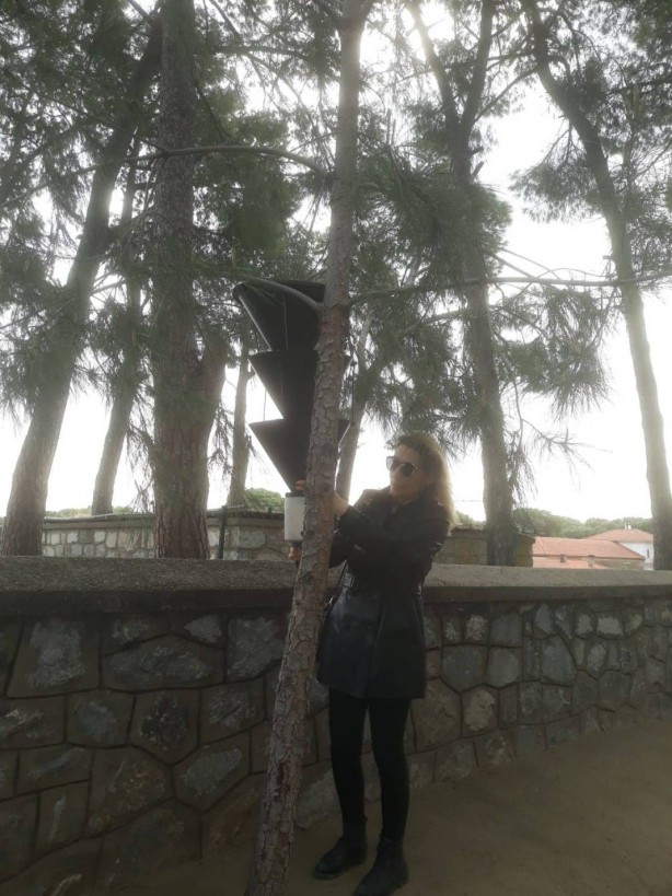 Foto - O ilimizde ağaçlara yerleştirilen cisimler endişelendirdi! Meğer önüne çıkan her şeyi yıkıp geçiyormuş