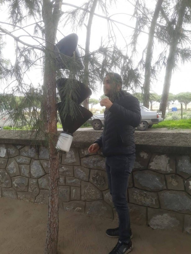 Foto - O ilimizde ağaçlara yerleştirilen cisimler endişelendirdi! Meğer önüne çıkan her şeyi yıkıp geçiyormuş