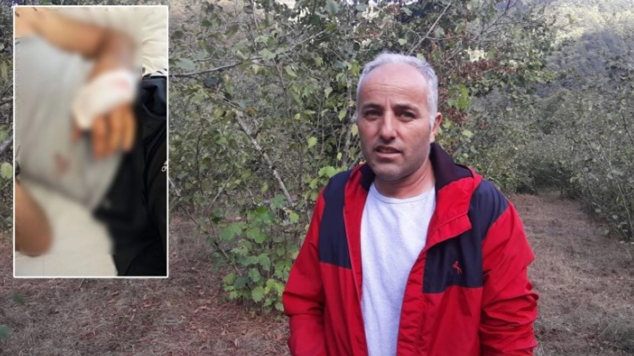 O ilimizde ayı dehşet saçtı! Peşinden gelip yakaladı sonra bakın ne yaptı