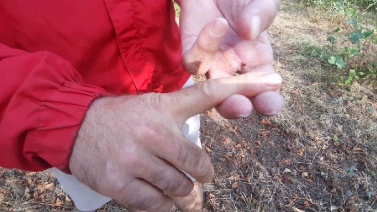 Foto - O ilimizde ayı dehşet saçtı! Peşinden gelip yakaladı sonra bakın ne yaptı