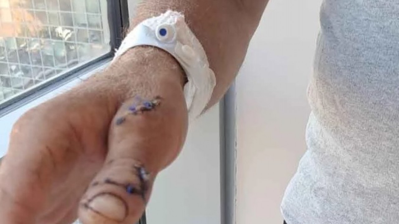 Foto - O ilimizde ayı dehşet saçtı! Peşinden gelip yakaladı sonra bakın ne yaptı