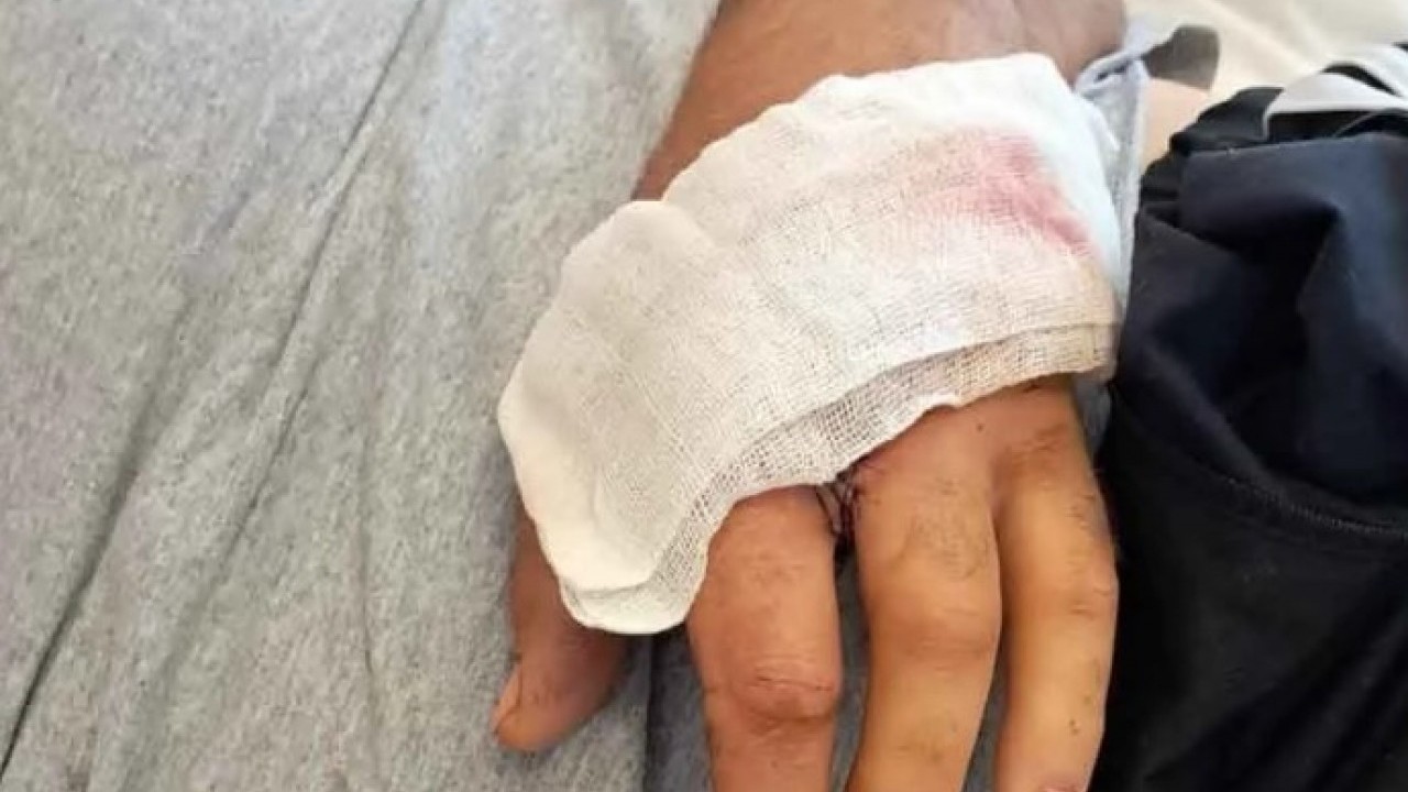 Foto - O ilimizde ayı dehşet saçtı! Peşinden gelip yakaladı sonra bakın ne yaptı