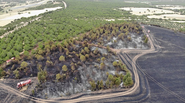 Foto - O ilimizde bir ayda 2 bin 625 futbol sahası büyüklüğünde orman yok oldu