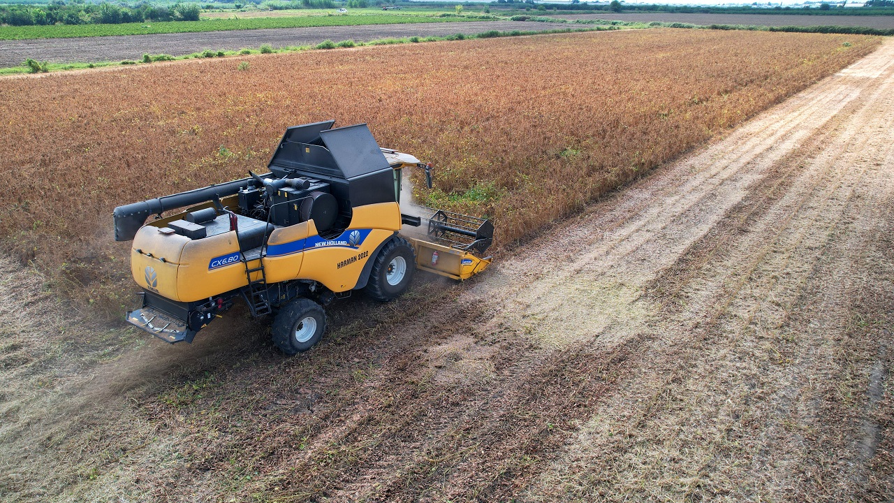 Foto - O ilimizde bu sene çiftçinin yüzü gülmedi