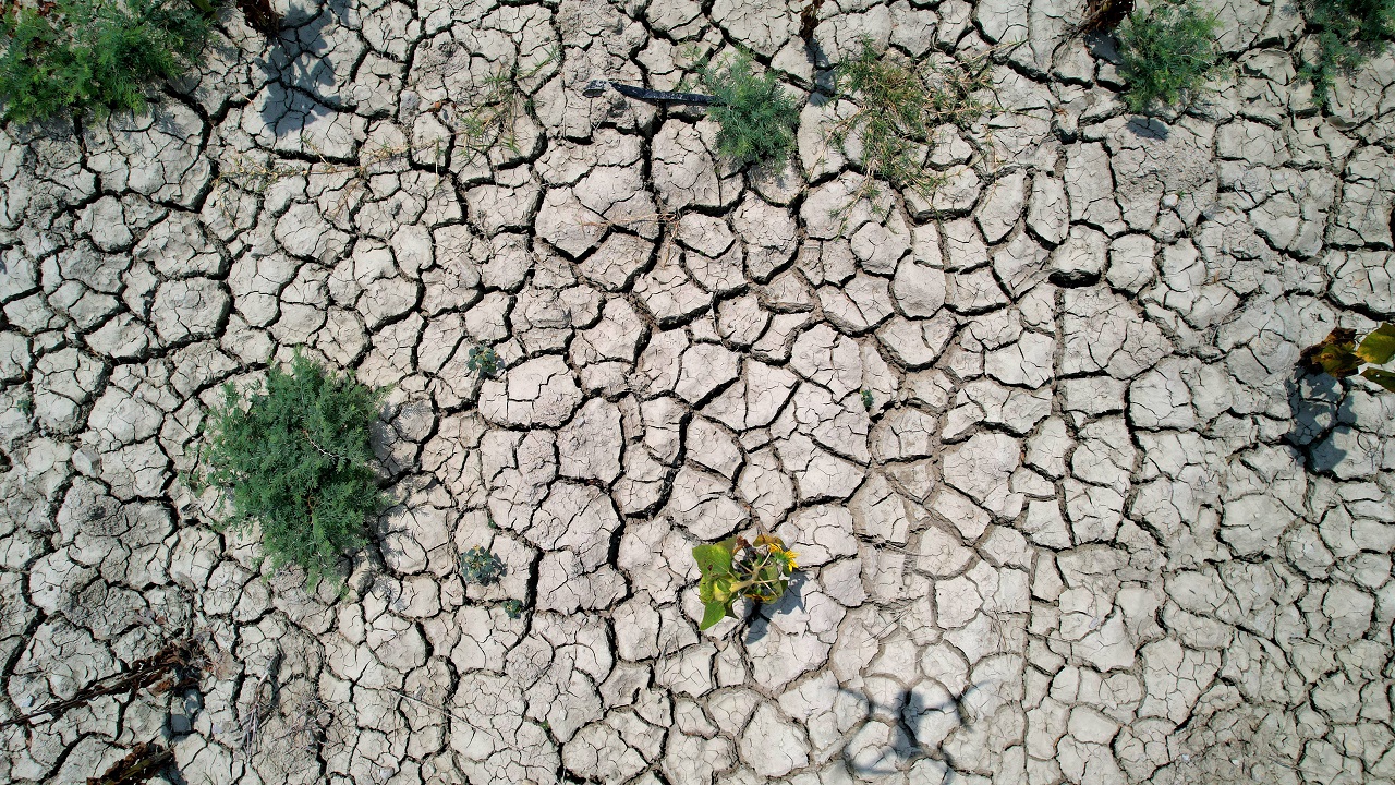 Foto - O ilimizde bu sene çiftçinin yüzü gülmedi