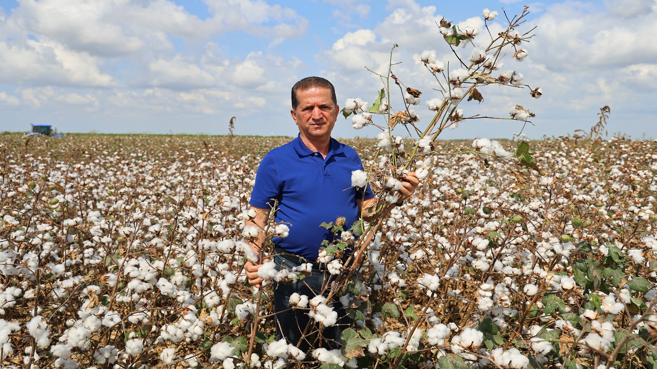 Foto - O ilimizde bu sene çiftçinin yüzü gülmedi