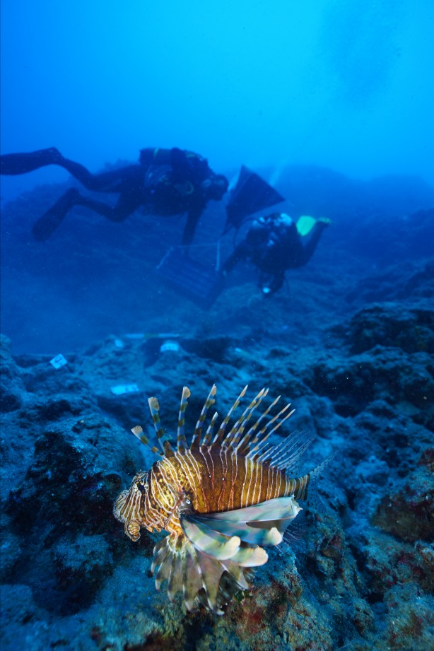 Foto - O ilimizde 'dünyanın en eski batığı'nda yeni buluntulara ulaşıldı! Kimse bunu beklemiyordu...