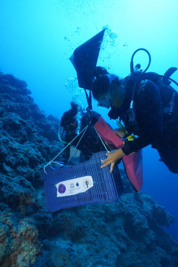 Foto - O ilimizde 'dünyanın en eski batığı'nda yeni buluntulara ulaşıldı! Kimse bunu beklemiyordu...