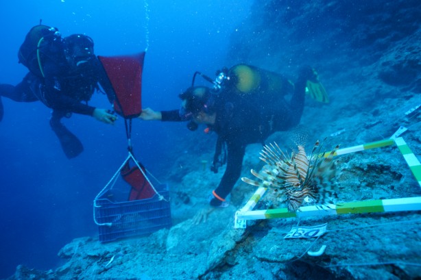 Foto - O ilimizde 'dünyanın en eski batığı'nda yeni buluntulara ulaşıldı! Kimse bunu beklemiyordu...