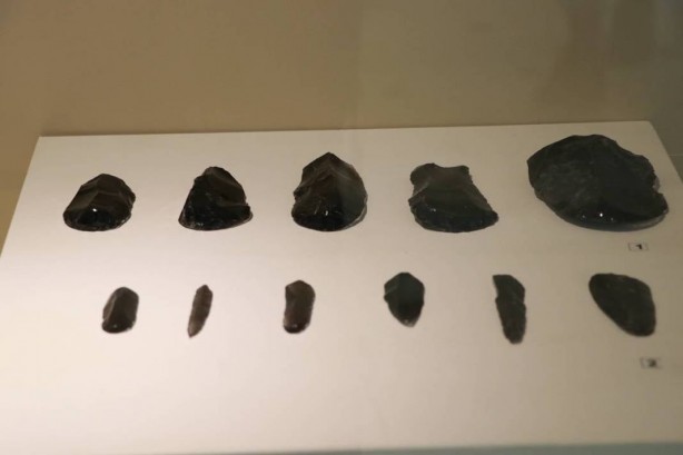 Foto - O ilimizde dünyayı ayağa kaldıran gelişme! Herkes şaşkın! Meğer 10 gün daha yaşamış