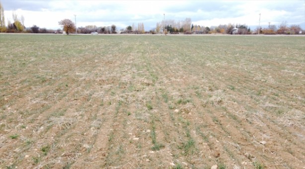 Foto - O ilimizde endişe hakim! Halk yağmur duasına çıktı: Allah'ım bize yağmur ver