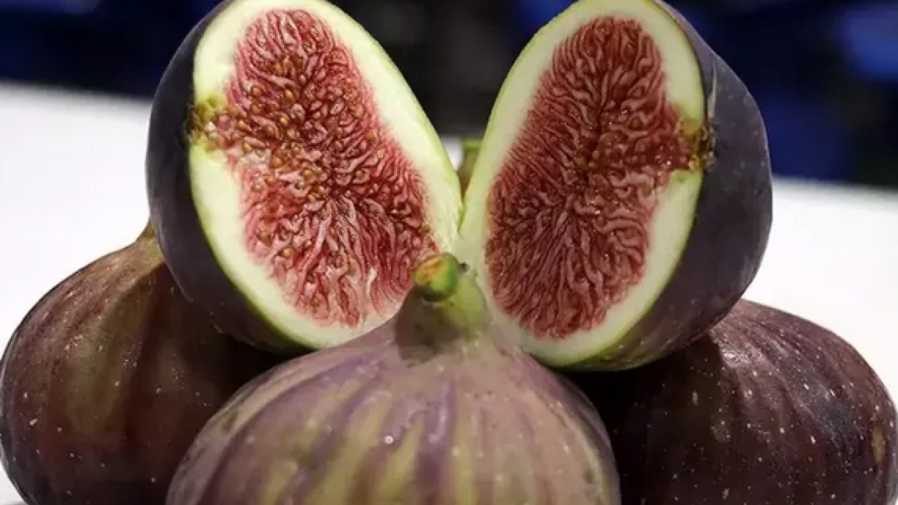 Foto - O ilimizde hasadı başladı! Tek tek elle toplanıyor: Zeytinliklerin arasından çıkan tatlı lezzet: Şifa kaynağı