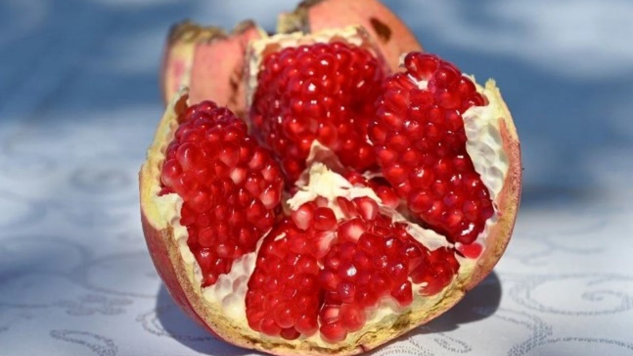 Foto - O ilimizde hasadı başladı! Türkiye'de üretimde 5. sırada