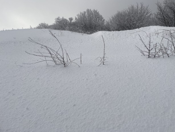 Foto - O ilimizde kar kalınlığı 1 metreye ulaştı! 37 köy yolu ulaşıma kapandı!