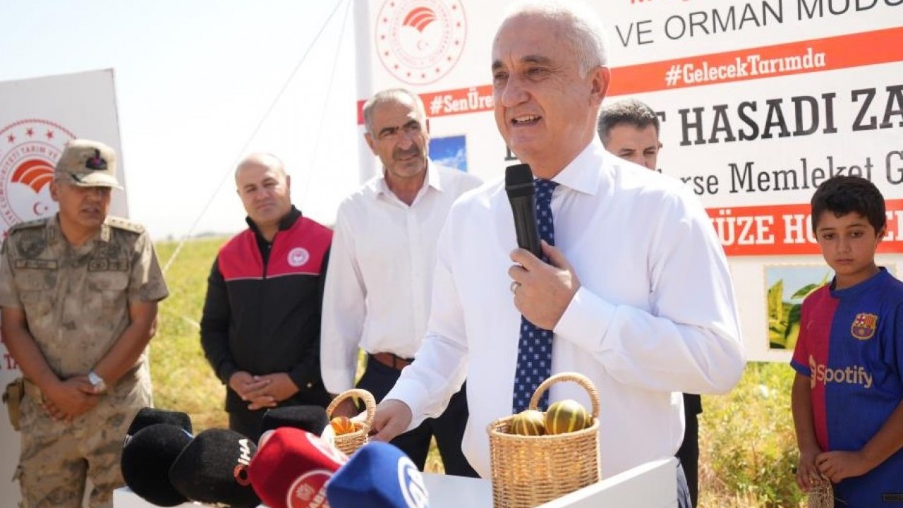 Foto - O ilimizde karpuz hasadı yüzleri güldürdü! 2 milyar liralık gelir bekleniyor