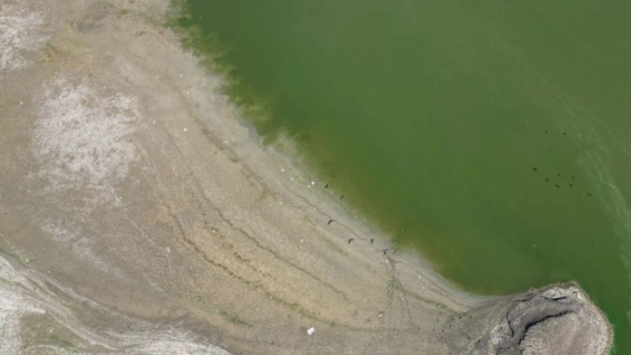 Foto - O ilimizde korkunç görüntü! öletler kurudu adacıklar oluştu