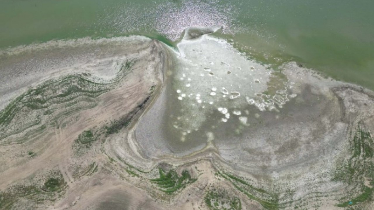 Foto - O ilimizde korkunç görüntü! öletler kurudu adacıklar oluştu