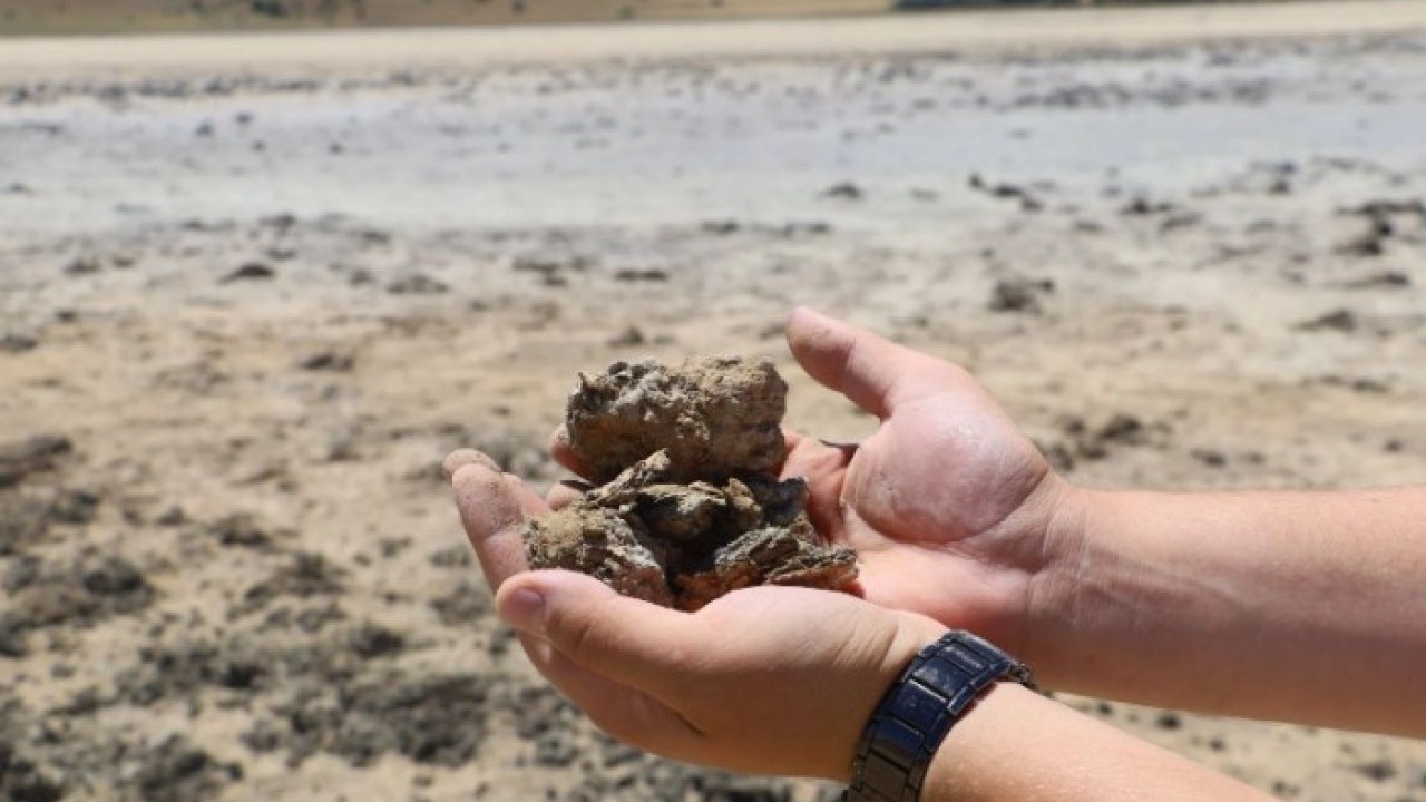 Foto - O ilimizde korkutan görüntü! Göçmen kuşlara ev sahipliği yapan göl kurudu