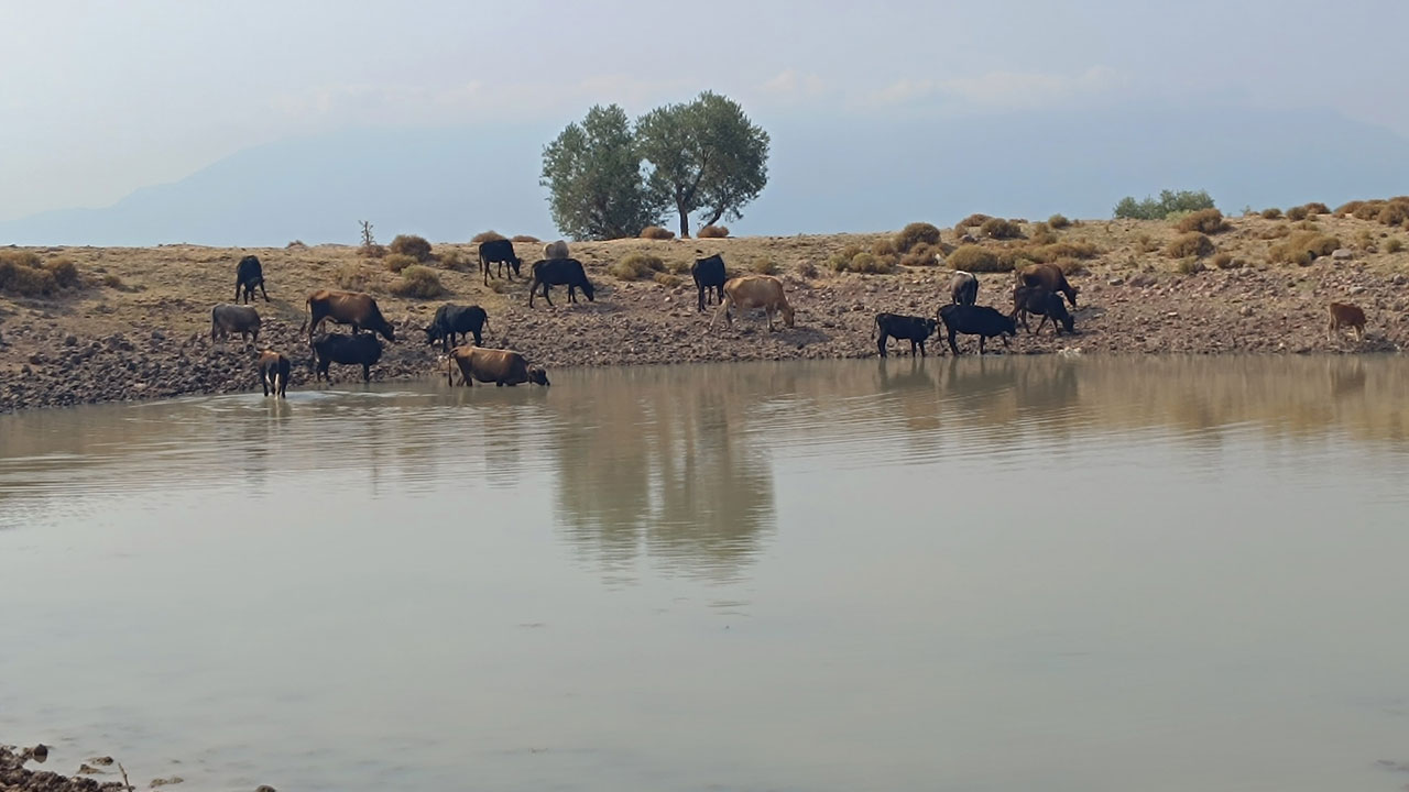 Foto - O ilimizde korkutan tablo! Göletler bir bir yok oluyor