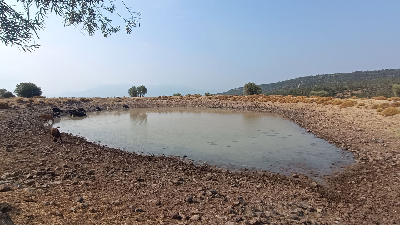 Foto - O ilimizde korkutan tablo! Göletler bir bir yok oluyor