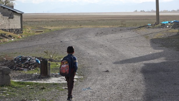 Foto - O ilimizde kuduz köpek paniği!