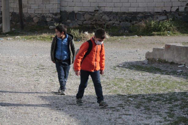 Foto - O ilimizde kuduz köpek paniği!