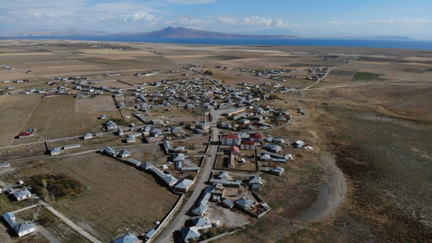 Foto - O ilimizde kuduz köpek paniği!