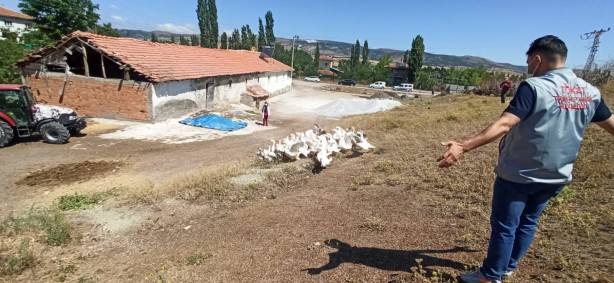 Foto - O ilimizde kuş gribi şüphesi! 200 kanatlı hayvan itlaf edildi